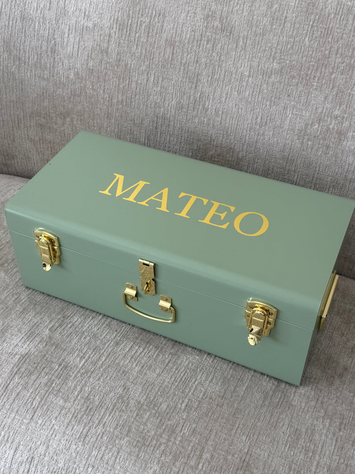Metal Storage Trunk