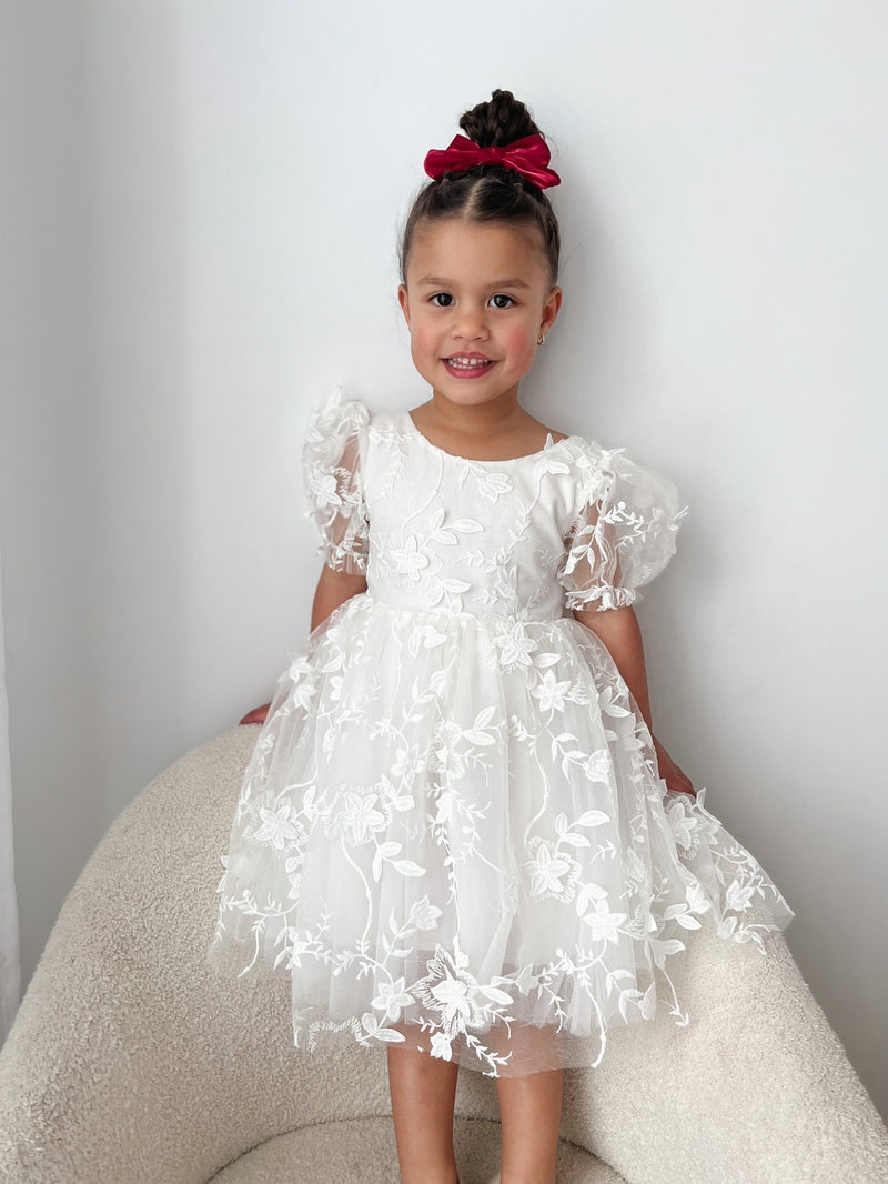 Vienna Embroidered White Dress