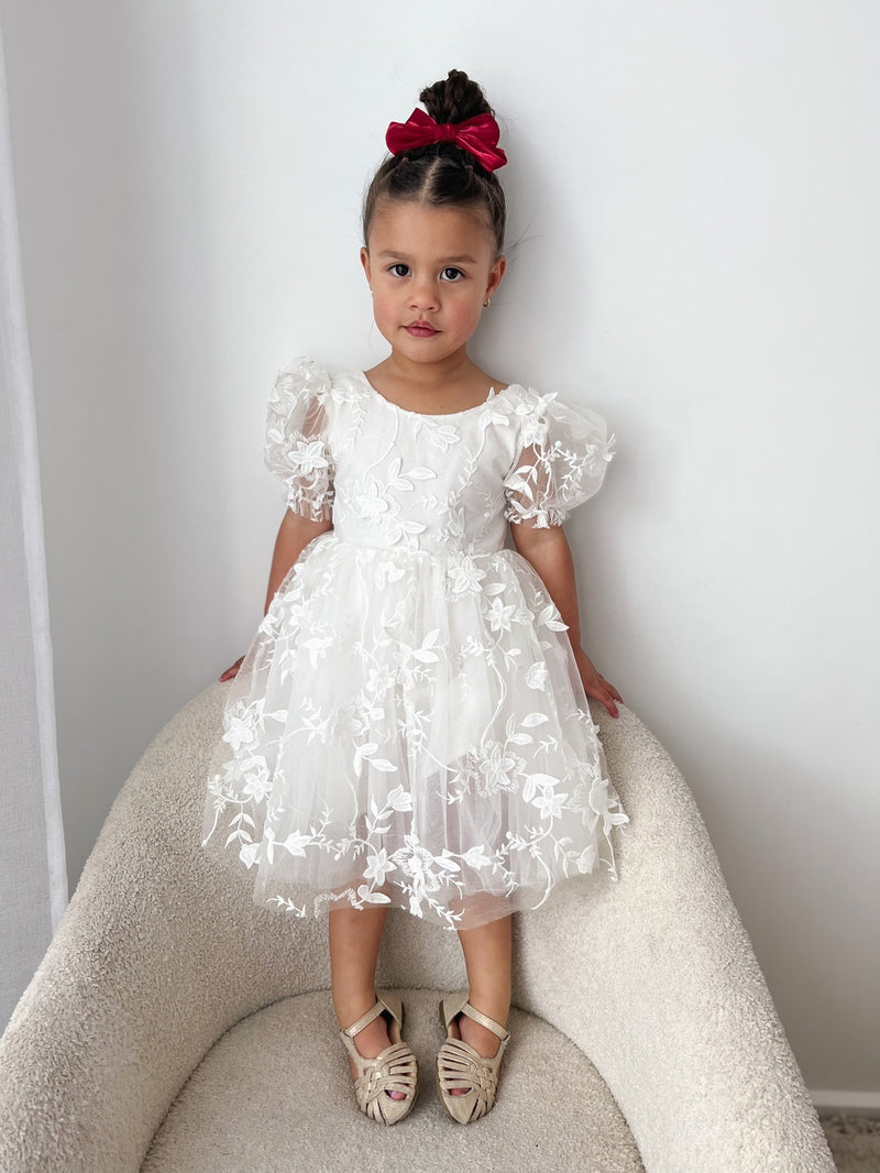 Vienna Embroidered White Dress