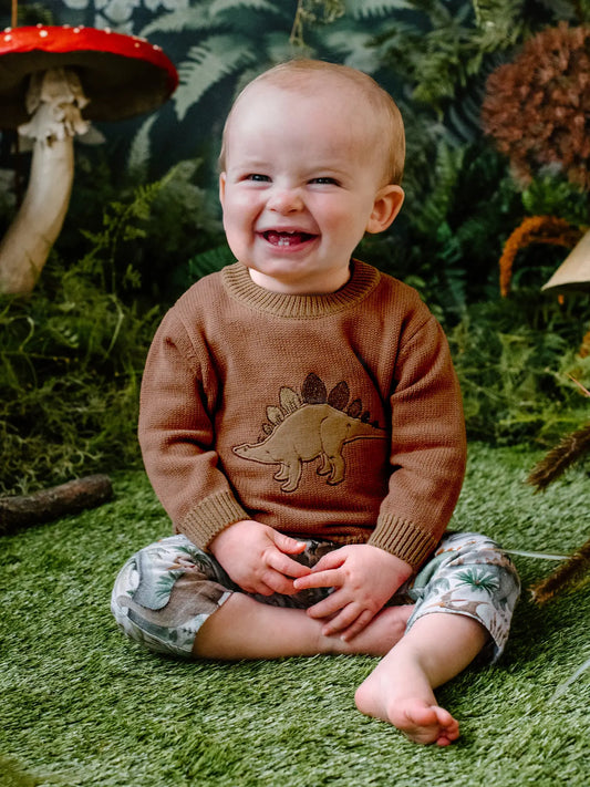 Stegosaurus Knit Jumper