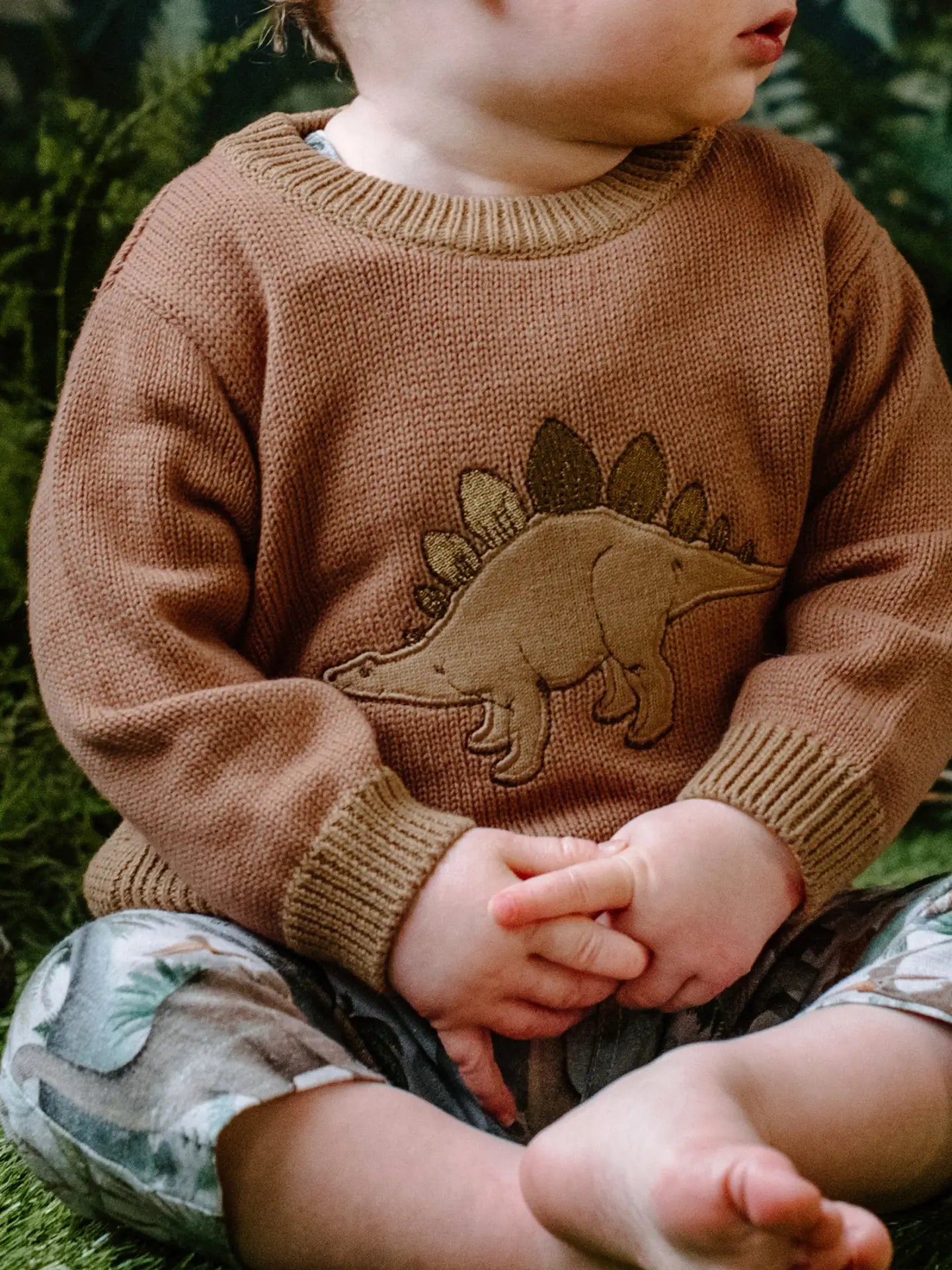Stegosaurus Knit Jumper